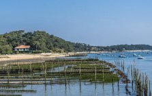 France, New Aquitaine, Arcachon Bay, Cap Ferret, oyster farming at low tide — Stock Photo