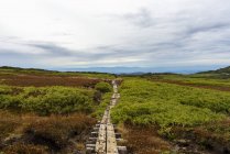 Hiking Daisetsuzan national park, Hokkaido prefecture, Japan — стоковое фото