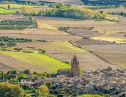 Spanien, Autonome Gemeinschaft Aragon, Provinz Huesca, landwirtschaftliche Ebene Loarre, Gemeinde Loarre — Stockfoto