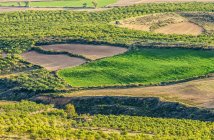 Espanha, Comunidade autônoma de Aragão, província de Huesca, planície agrícola de Loarre — Fotografia de Stock