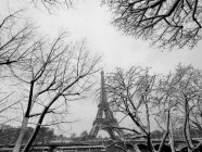 France, Paris, 16th arrondissement, trees on the quays of the Seine and Eiffel tower enneigs / Snow covered river Seine trees and Eiffel tower, 16th arrondissement, Paris, France — Photo de stock