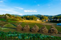 Scenic view of first imperial capital recorded, Nara prefecture, Kansai, Honshu, Japan — Stock Photo