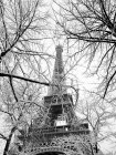 France, Paris, 16th arrondissement, branches of trees and snowy Eiffel tower / Snow covered trees and Eiffel tower, 16th arrondissement, Paris, France — Photo de stock