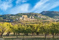 Espanha, Comunidade autônoma de Aragão, província de Huesca, fortaleza de Loarre (séculos XI-XIII) vista da planície agrícola — Fotografia de Stock