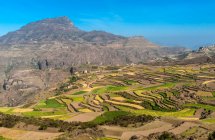 Oriente Medio, Yemen, Centro Oeste, Región de Jebel Harraz (Lista Tentativa del Patrimonio Mundial de la UNESCO), cultivos de pueblos y terrazas (disparo 03 / 2007) - foto de stock