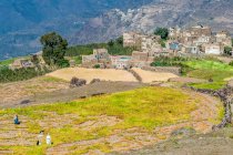 Oriente Medio, Yemen, Centro Oeste, Región de Jebel Harraz (Lista Tentativa del Patrimonio Mundial de la UNESCO), vida rural - foto de stock