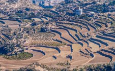 Middle East, Yemen, Center West, Jebel Harraz region (UNESCO World Heritage Tentative list), terrace cultivation (shooting 03/2007) — Stock Photo