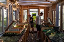 Europa, Francia, Borgoña, Epoisses, jóvenes jardineros del mercado regando plantas en un invernadero - foto de stock