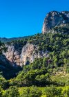 France, Provence, Vaucluse, Dentelles de Montmirail — стокове фото