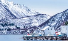 Norwegen, Tromsö County, Insel Senja, Fischereihafen am Fjord — Stockfoto
