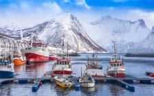 Noruega, Condado de Tromso, Isla Senja, Fjordgard, Puerto de bacalao Husoy - foto de stock