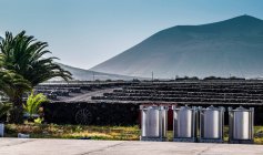Spain, Canary Islands, Lanzarote Island, Bodega of the volcanic valley of the Geria — Stock Photo