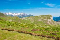 Frankreich, Savoyen, Almen und Gletscher am Col des Saisies — Stockfoto