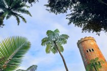 EE.UU., Porto Rico, El Yunque, bosque. Yokah?, torre de observación - foto de stock