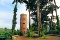 Usa, Porto Rico, El Yunque, floresta. Yokah?, torre de observação — Fotografia de Stock
