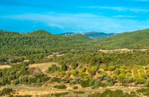 Spagna, Aragona, campagna vicino Aguero — Foto stock