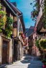 France, Alsace, route des vins, Ribeauville, rue avec maisons à colombages et fleurs — Photo de stock