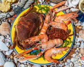 Francia, baia di Arcachon, piatto di frutti di mare — Foto stock