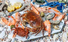 França, Baía de Arcachon, prato de frutos do mar — Fotografia de Stock