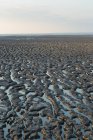 France, Bourgneuf Bay at low tide, mud deposits brought by sea currents. — Stock Photo