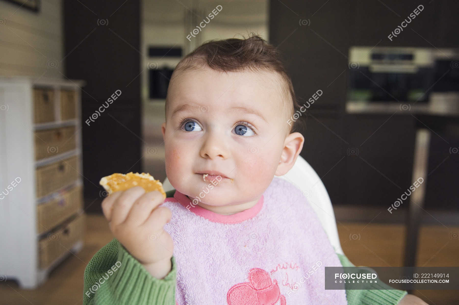 Cute baby eating eating biscuit in kitchen and looking away — brown