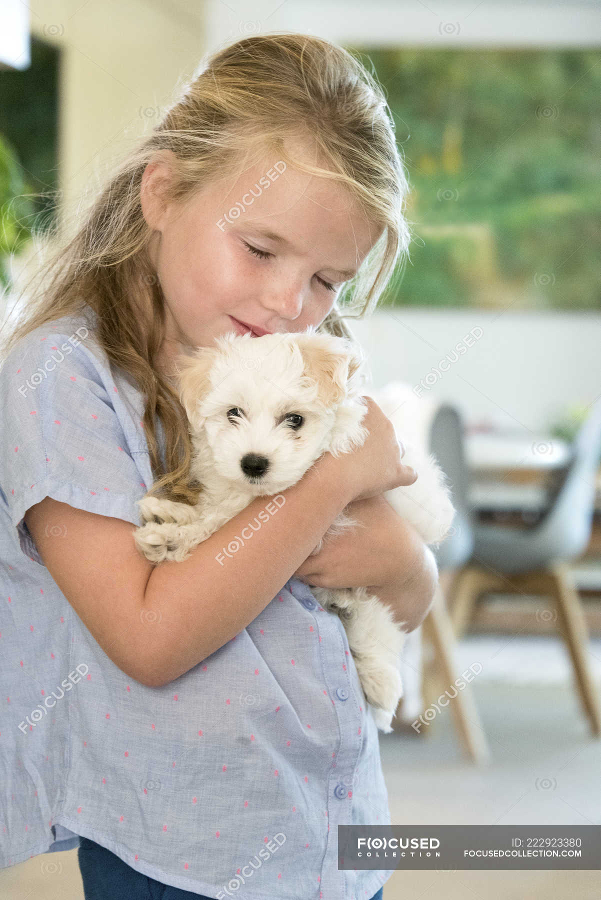 Portrait Of Cute Little Girl Holding Puppy Fluffy Kissing Stock Photo 222923380