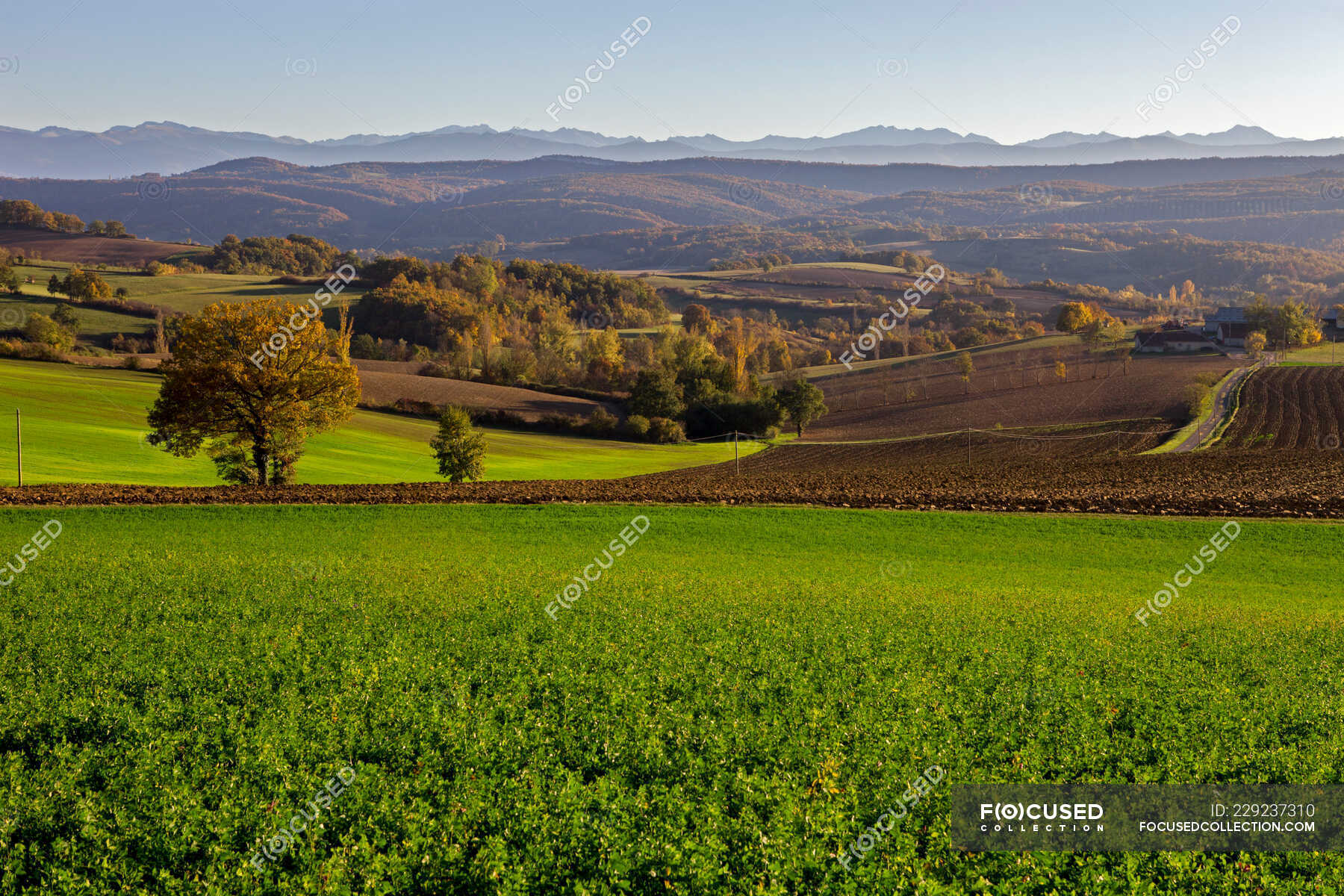 France, Ariege, Autumn Landscape, Pyrenees, Carla Bayle region ...