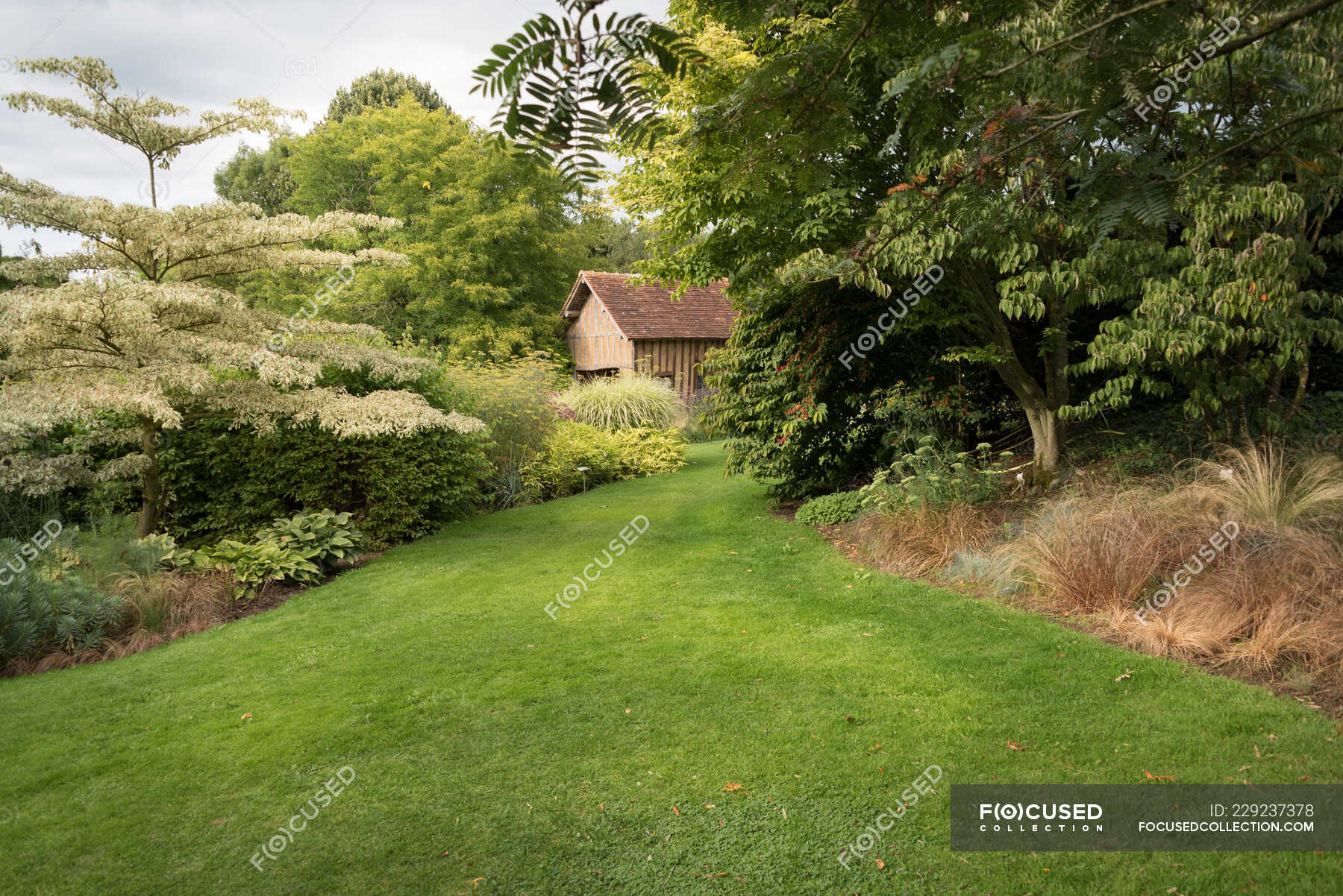 Mixed Borders With Flowers In A Country Garden Lawn Housing Stock Mixed Borders With Flowers In A Country Garden Lawn Housing Stock