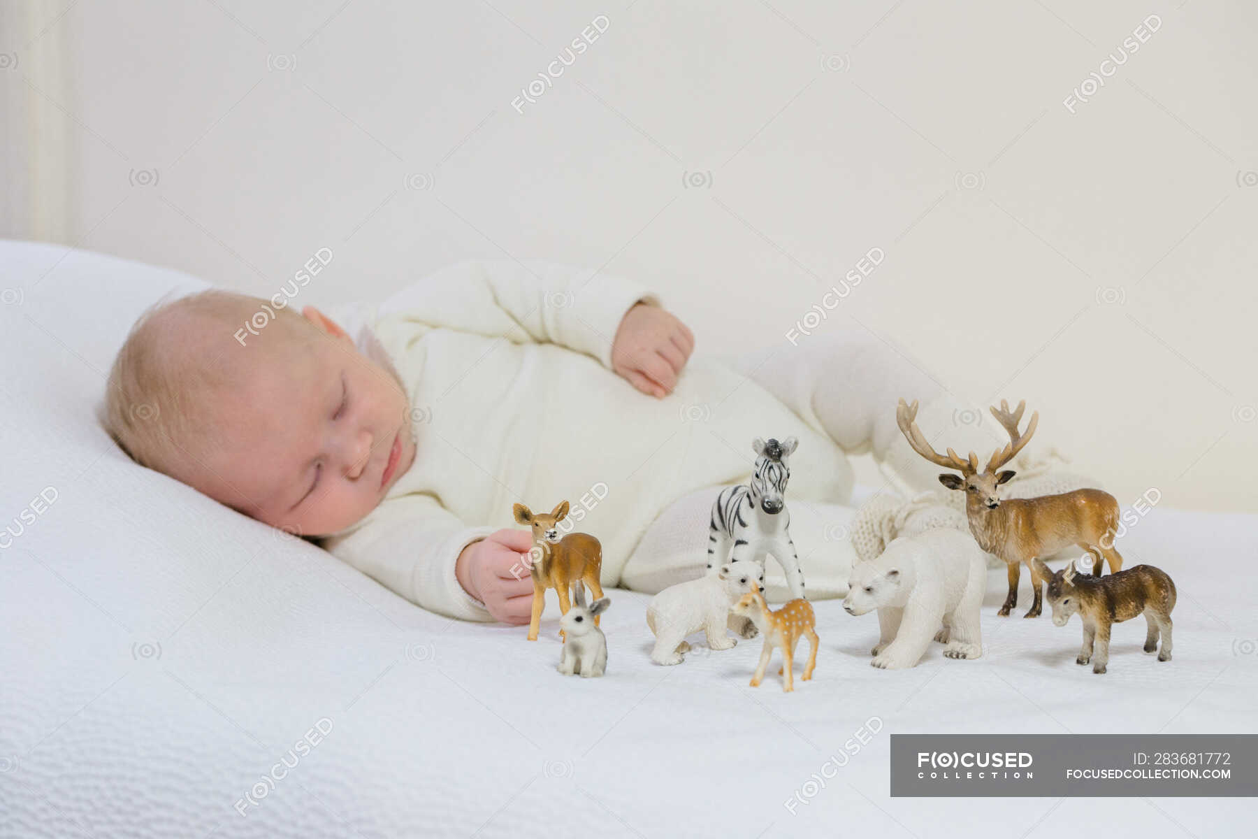 Young Infant In White Layette Of 2 Months Sleeping On A Whitebed Surrounded By Small Farm Animals 0 11 Months Anatomy Stock Photo