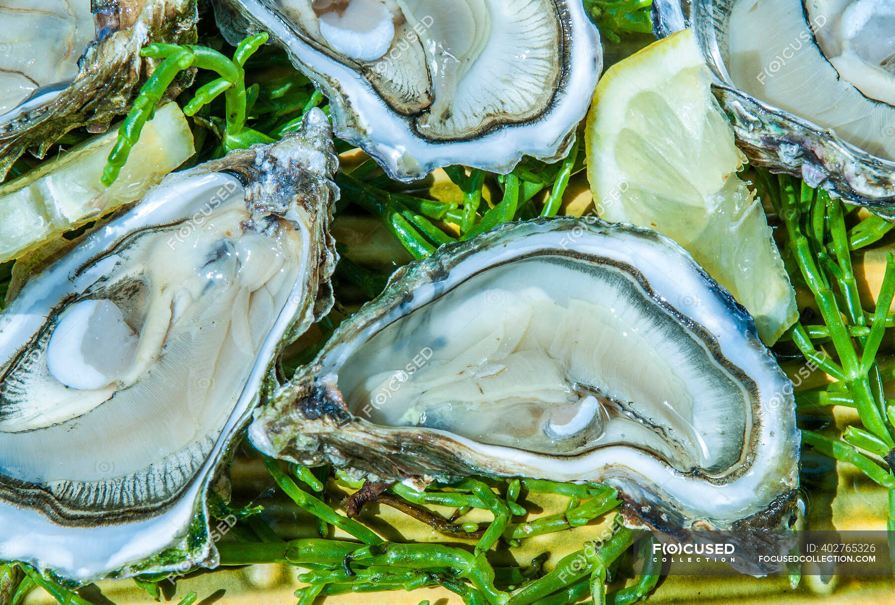 France, Arcachon bay, oysters — landscape, Gironde Stock Photo
