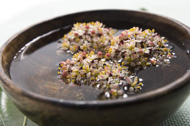 Primo piano di fiori galleggianti in piccolo piatto in spa — Foto stock