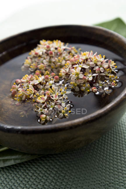 Close-up of floating flowers in small dish in spa — Stock Photo