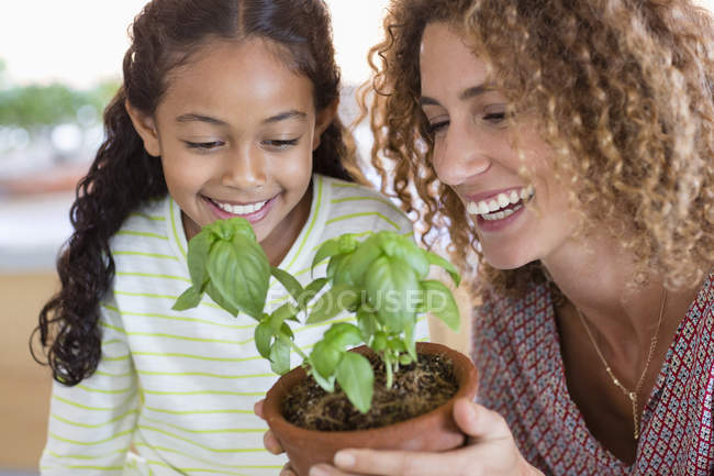 Mãe feliz e filha segurando planta manjericão — Fotografia de Stock