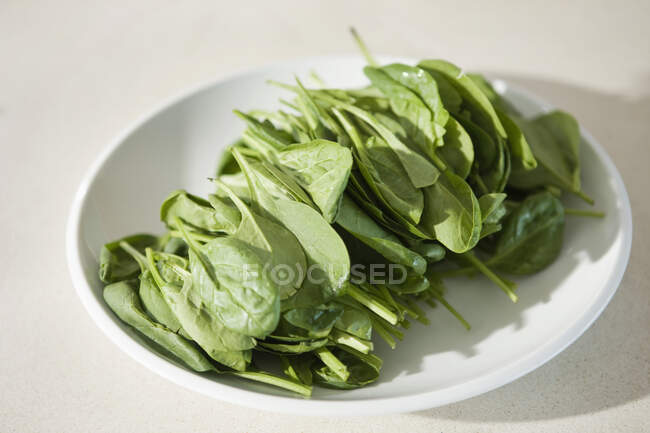 Primer plano de las hojas de espinaca en un plato - foto de stock