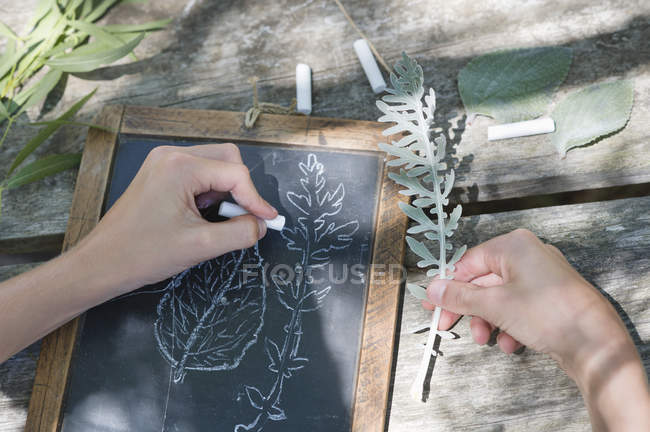 Хлопчик робить малюнок листя на шифері на відкритому повітрі — стокове фото