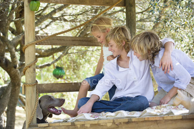 Діти дивляться на собаку з дерева будинку в літньому саду — стокове фото