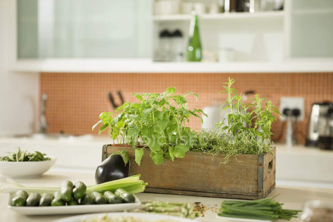Légumes dans la cuisine — Photo de stock