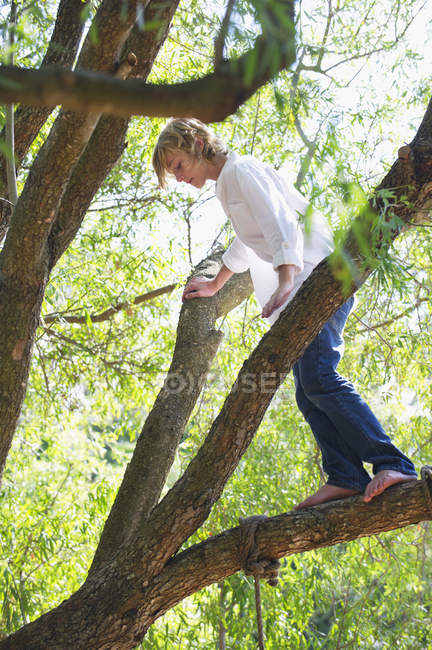 Хлопчик-підліток стоїть на гілці дерева в літній сільській місцевості — стокове фото