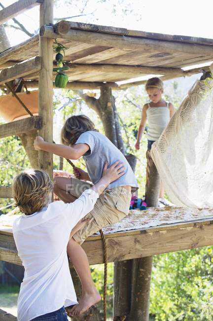 Vista trasera de un niño agarrando la cuerda para llegar a la casa del árbol - foto de stock