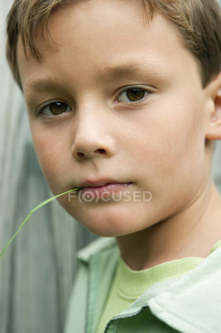 Retrato de niño pequeño sosteniendo la hoja de hierba en la boca - foto de stock
