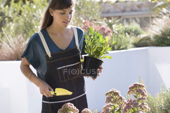 Young woman in apron gardening outdoors — Stock Photo