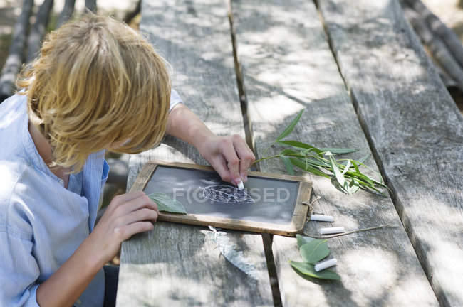 Garçon faisant dessin de feuilles sur ardoise à l'extérieur — Photo de stock