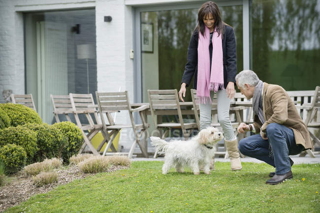 Casal brincando com cão bonito no gramado no jardim — Fotografia de Stock