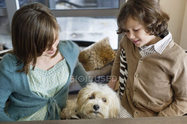 Мальчик и его сестра играют с собакой — стоковое фото