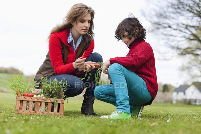Mujer e hijo mirando verduras en un parque - foto de stock