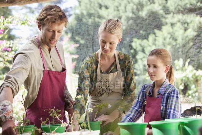 Parents and daughter gardening — Stock Photo