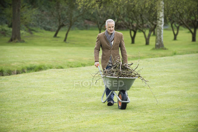 Hombre maduro elegante recoger leña en el campo verde - foto de stock