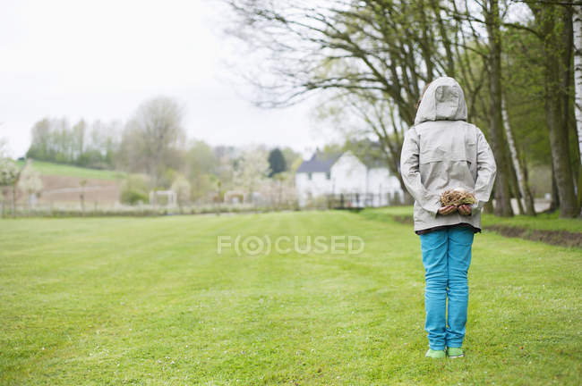 Visão traseira do menino com capuz jaqueta segurando um ninho de pássaro no campo — Fotografia de Stock