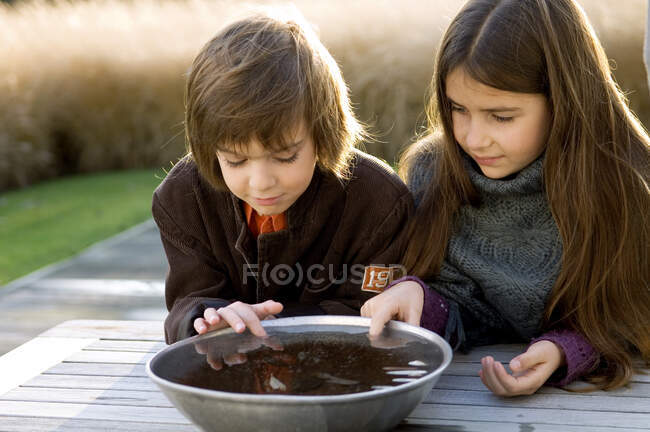 Gros plan de deux enfants regardant dans un bol d'eau — Photo de stock