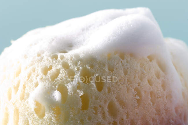 Sponge covered with soap lather, close-up — Stock Photo